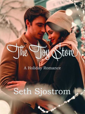 cover image of The Toy Store